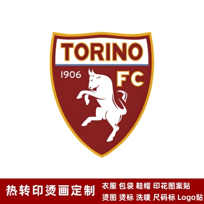 Torino DTF Heat Transfer Printing