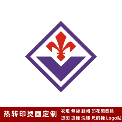 Fiorentina DTF Heat Transfer Printing