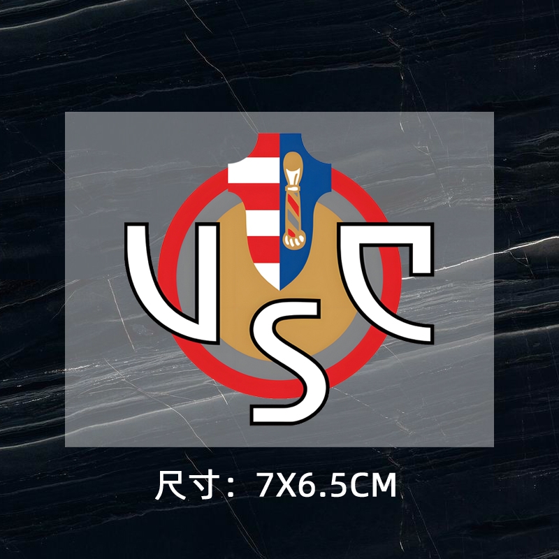 Cremonese DTF Heat Transfer Printing