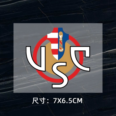 Cremonese DTF Heat Transfer Printing