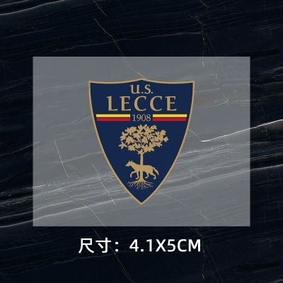 U.S. Lecce DTF Heat Transfer Printing