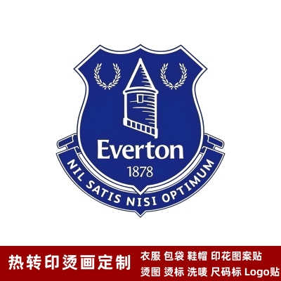 Everton DTF Heat Transfer Printing