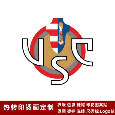 Cremonese DTF Heat Transfer Printing