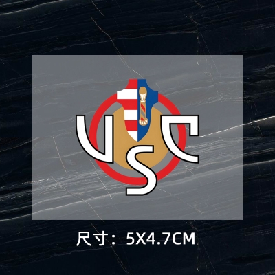 Cremonese DTF Heat Transfer Printing