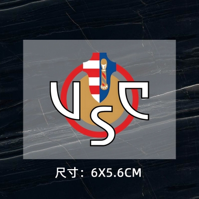 Cremonese DTF Heat Transfer Printing