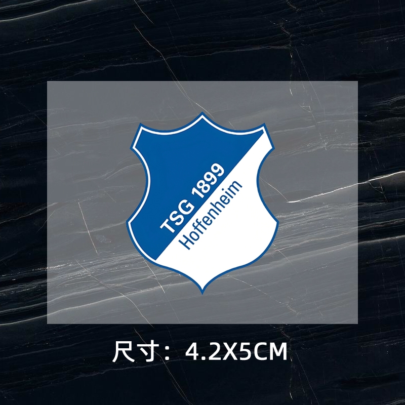 TSG Hoffenheim DTF Heat Transfer Printing