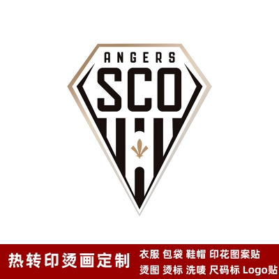 Angers DTF Heat Transfer Printing