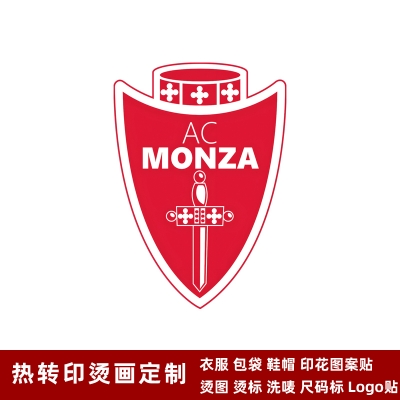 Monza DTF Heat Transfer Printing