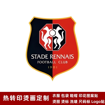 Stade Rennais DTF Heat Transfer Printing
