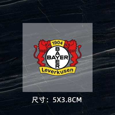 Leverkusen DTF Heat Transfer Printing