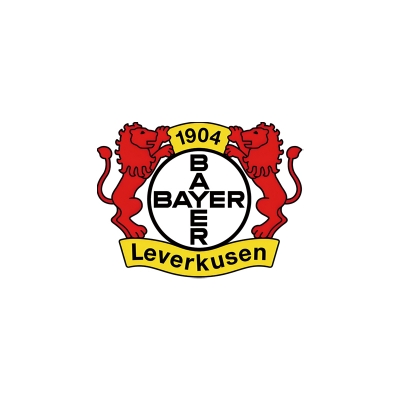 Leverkusen DTF Heat Transfer Printing