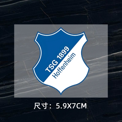 TSG Hoffenheim DTF Heat Transfer Printing