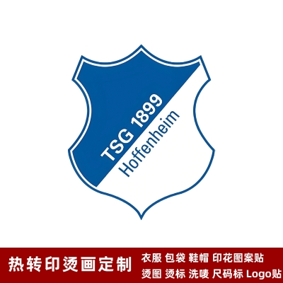 TSG Hoffenheim DTF Heat Transfer Printing