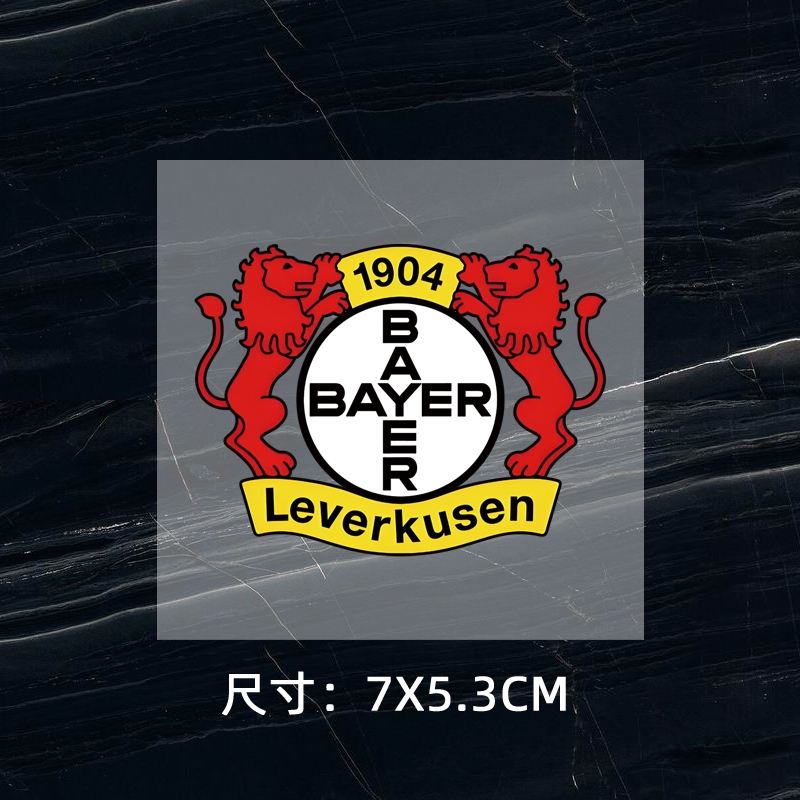 Leverkusen DTF Heat Transfer Printing