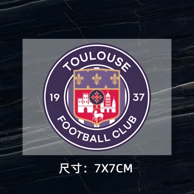 Toulouse‌ DTF Heat Transfer Printing