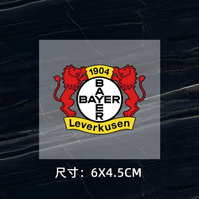 Leverkusen DTF Heat Transfer Printing