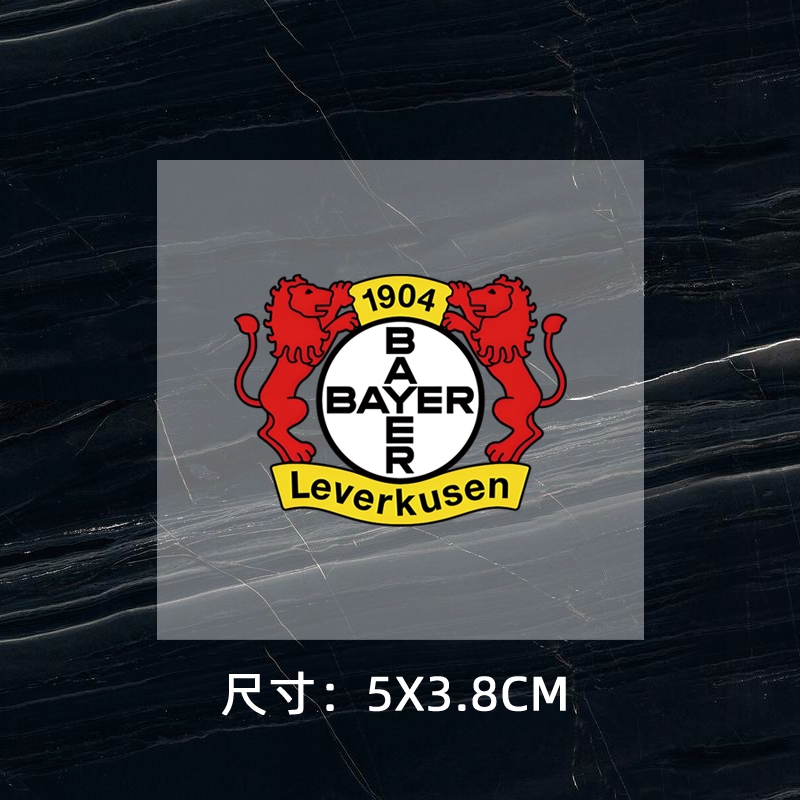 Leverkusen DTF Heat Transfer Printing