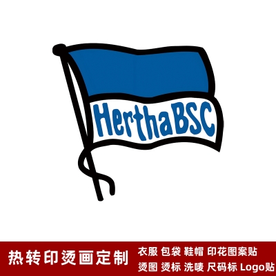 Hertha Berlin DTF Heat Transfer Printing