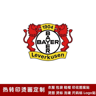 Leverkusen DTF Heat Transfer Printing