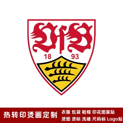 VfB Stuttgart DTF Heat Transfer Printing