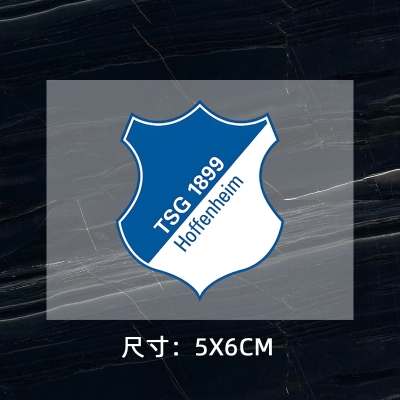TSG Hoffenheim DTF Heat Transfer Printing