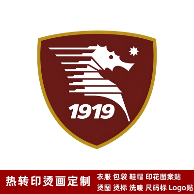 Salernitana DTF Heat Transfer Printing