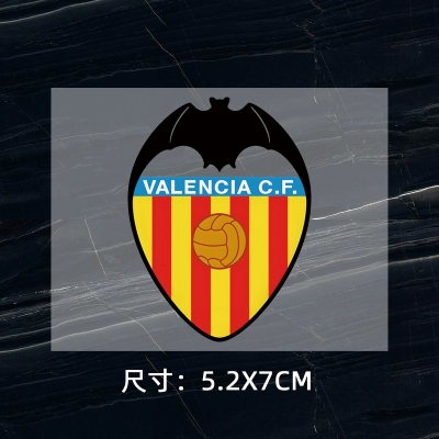 Valencia‌ DTF Heat Transfer Printing