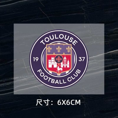 Toulouse‌ DTF Heat Transfer Printing