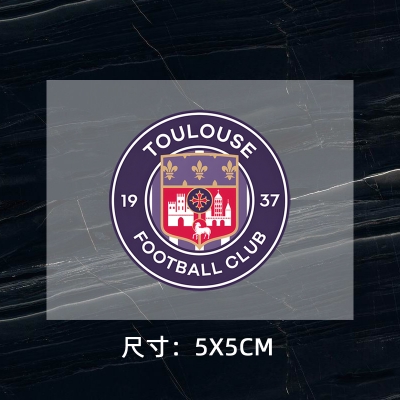 Toulouse‌ DTF Heat Transfer Printing