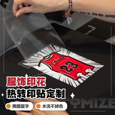 1263# customization DTF Heat Transfer Printing